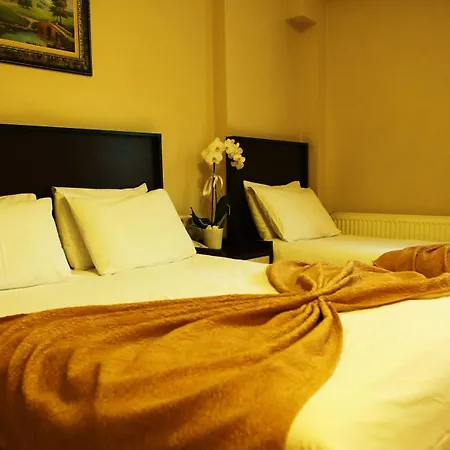 Hotel Bogaz Otel 2*