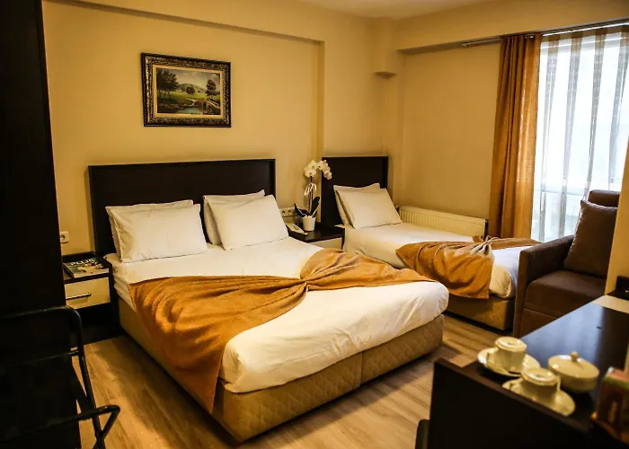 Bogaz Otel 호텔 2*