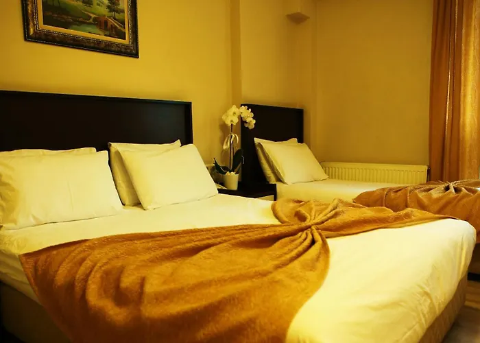 호텔 Bogaz Otel 2*